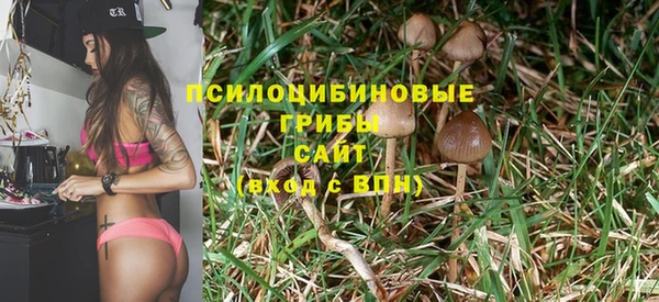 а пвп мука Касимов